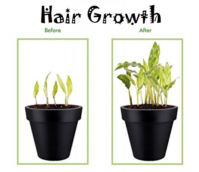 oxyled-led-grow-light-bulb-hydroponic-plant-grow-lights-for-greenhouse-e26-12w-3blue-9-red-leds-4-800x800